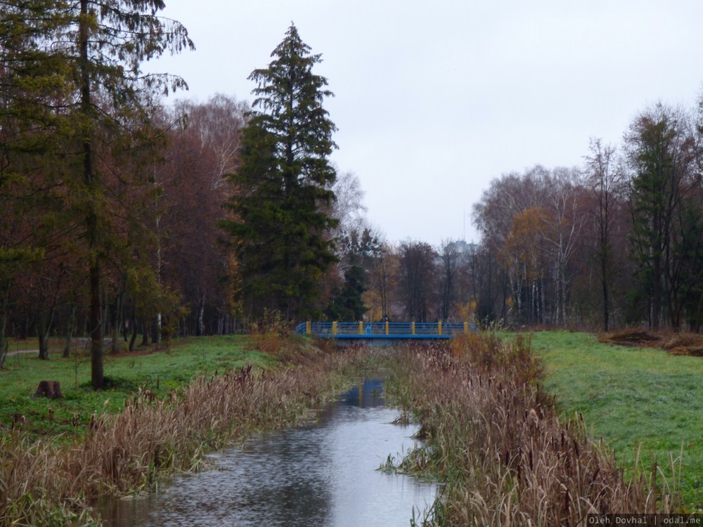 парк Леси Украинки, Луцк