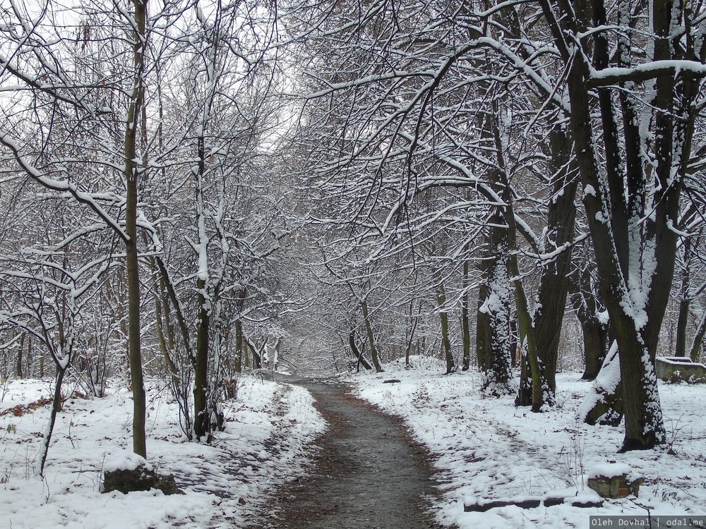 парк Октябрьский, Черновцы