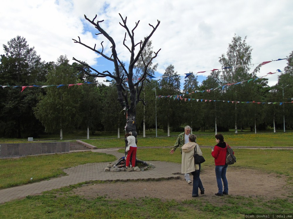 Дерево желаний, Петрозаводск