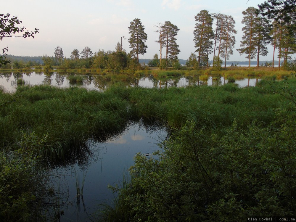 Лососинское озеро, Петрозаводск