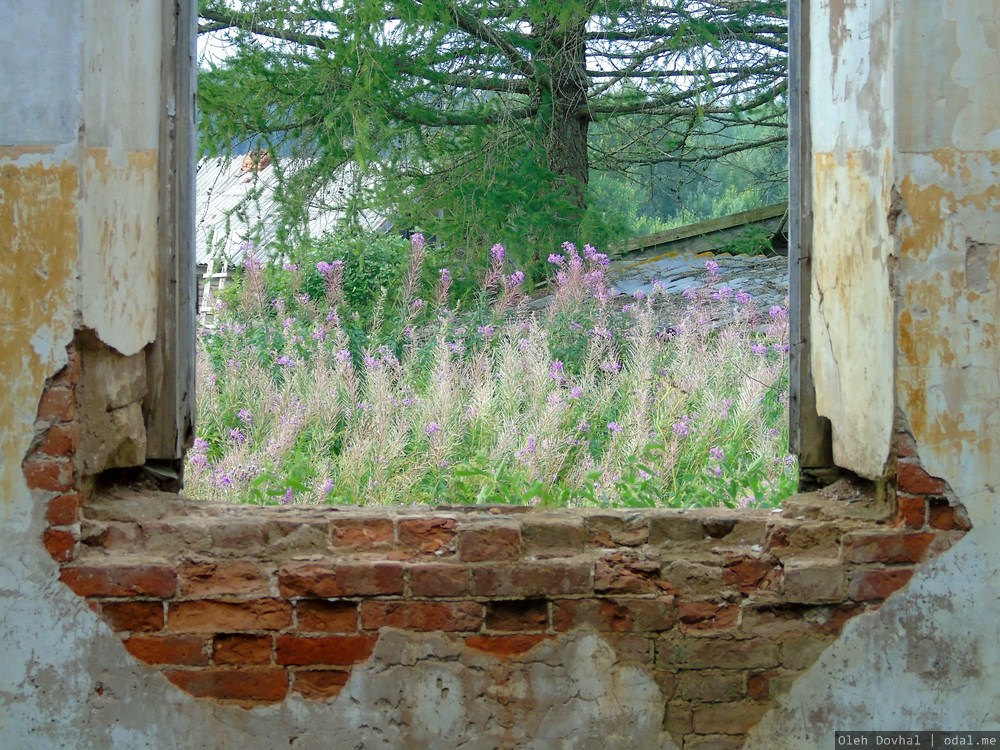 Горное Шёлтозеро, церковь, внутри