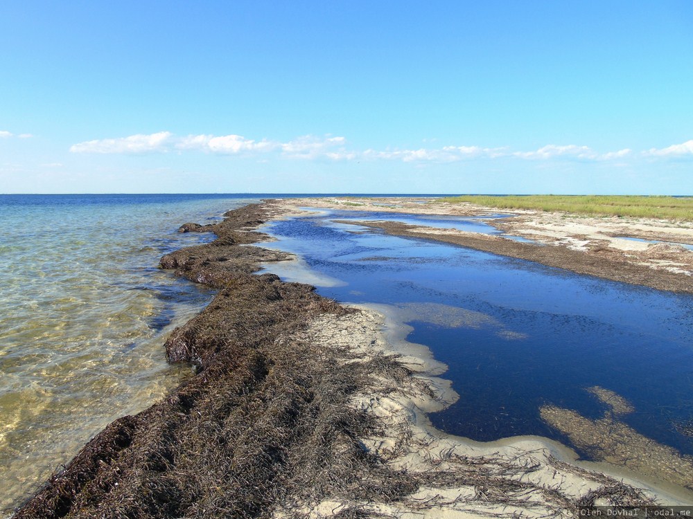 Nigra maro kaj estuara lago