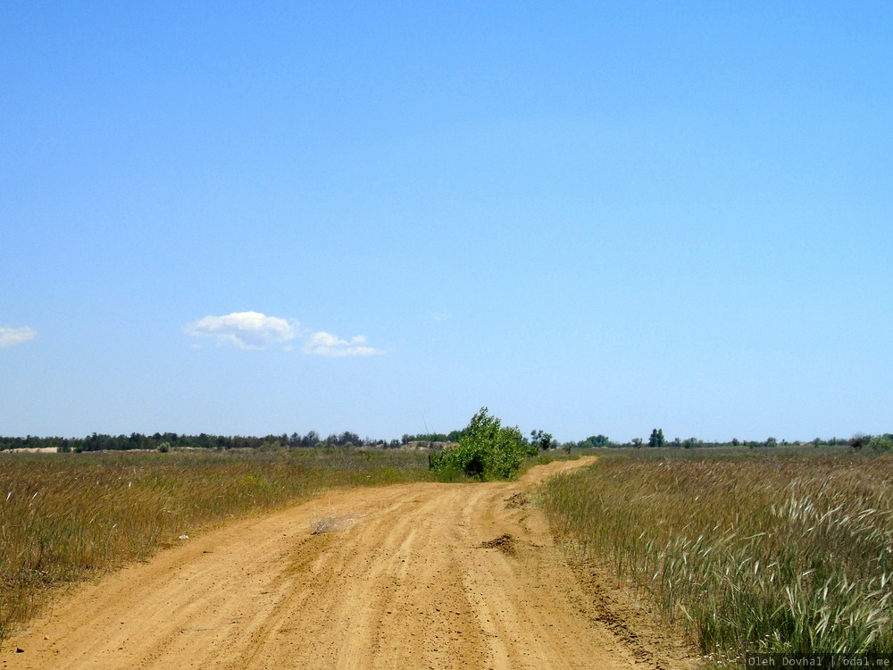 дорога на Алешковские пески