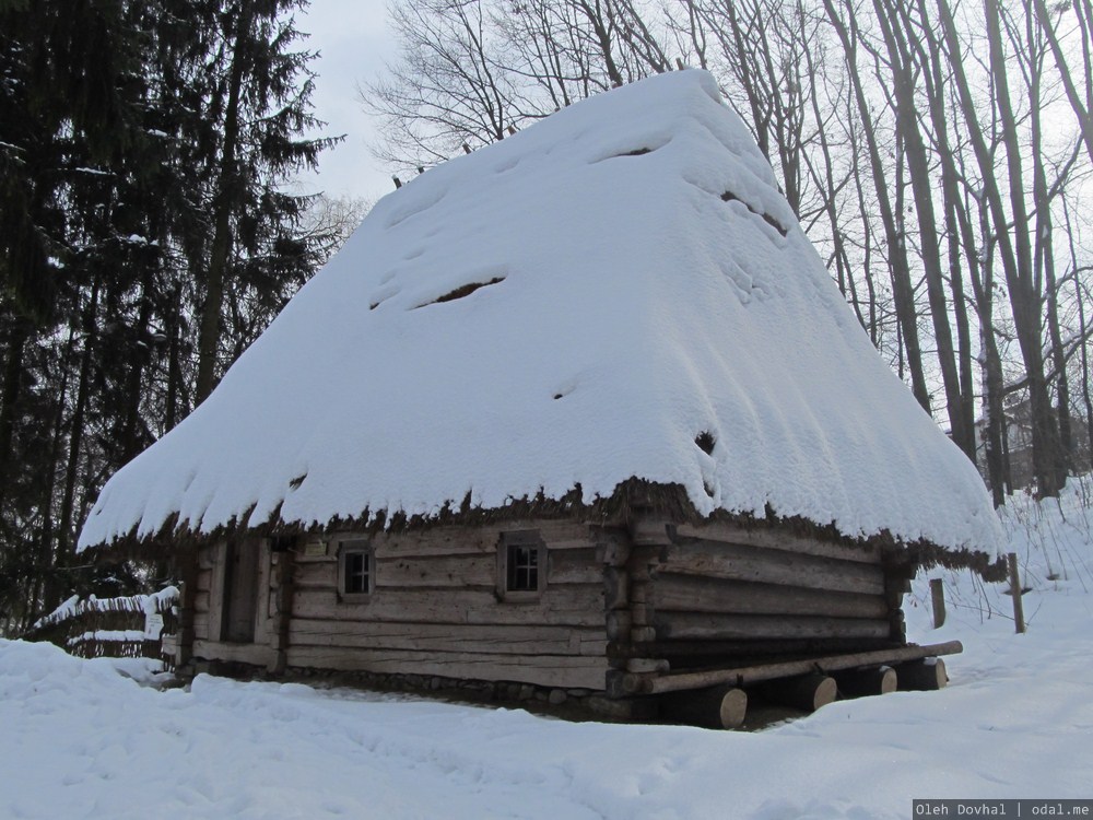 Шевченковский Гай, Львов