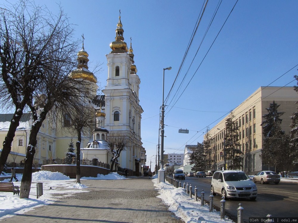 Спасо-Преображенский собор, Винница