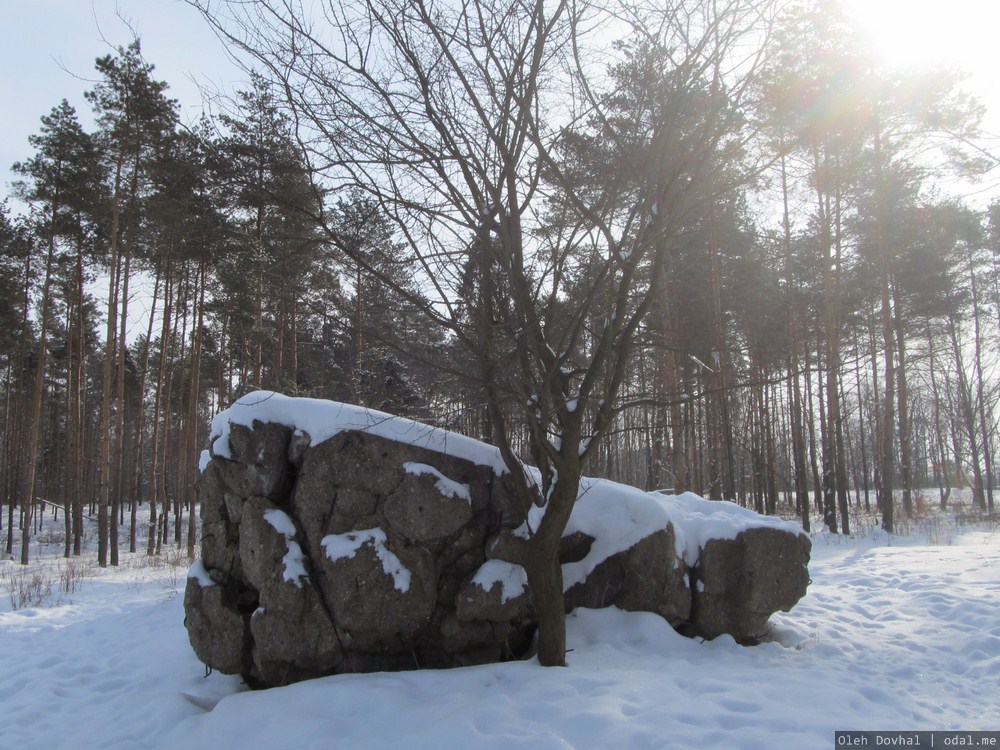 бункер Вервольф