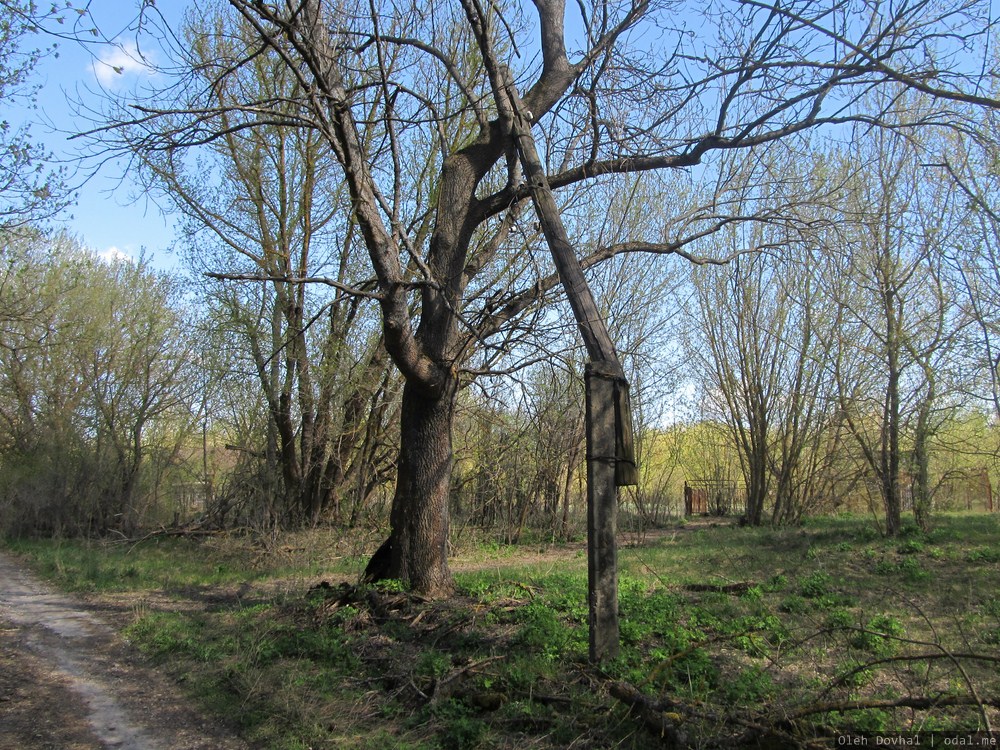 сломанный столб, село Красно, Чернобыль