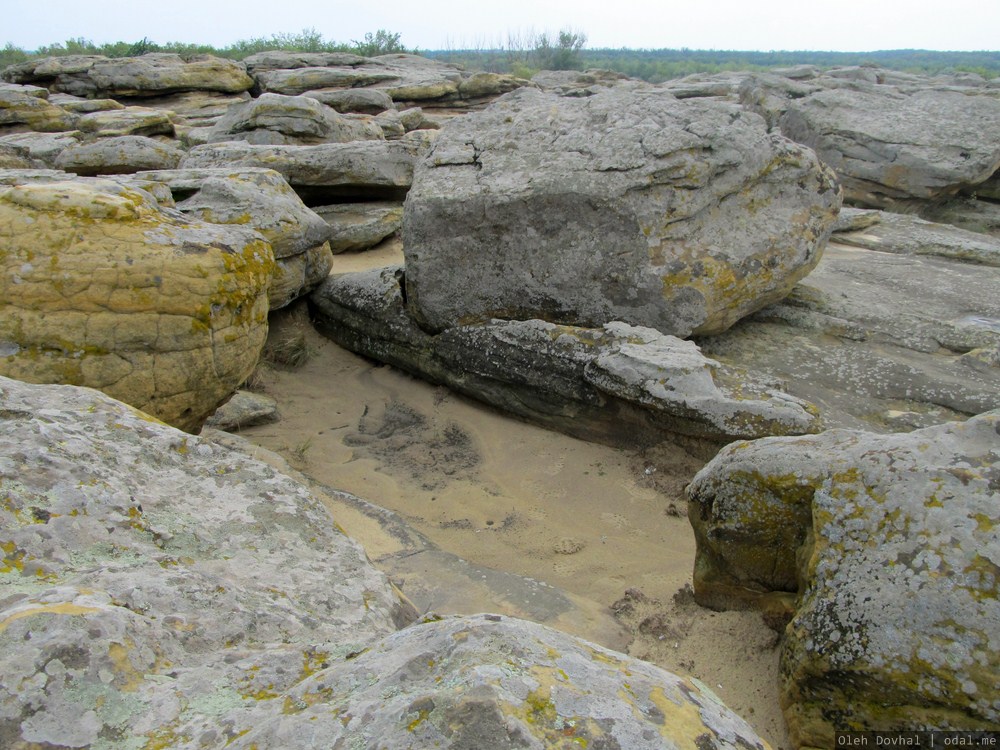 Каменная Могила, Мелитопольский район