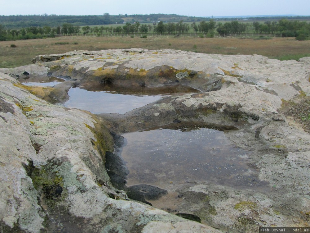 лужи, Каменная Могила, Мелитопольский район