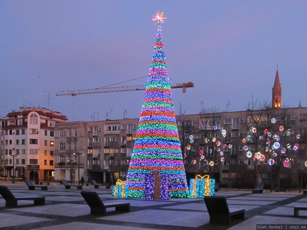 рождественская елка, Вроцлав