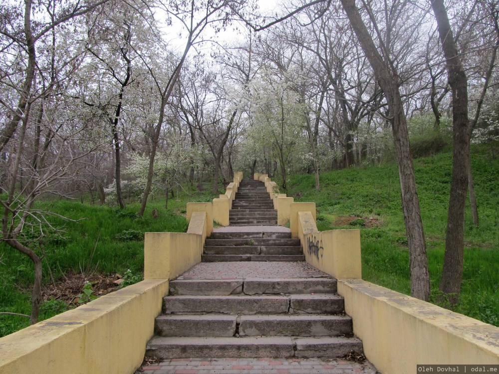 лестница, сквер Паустовского, Одесса