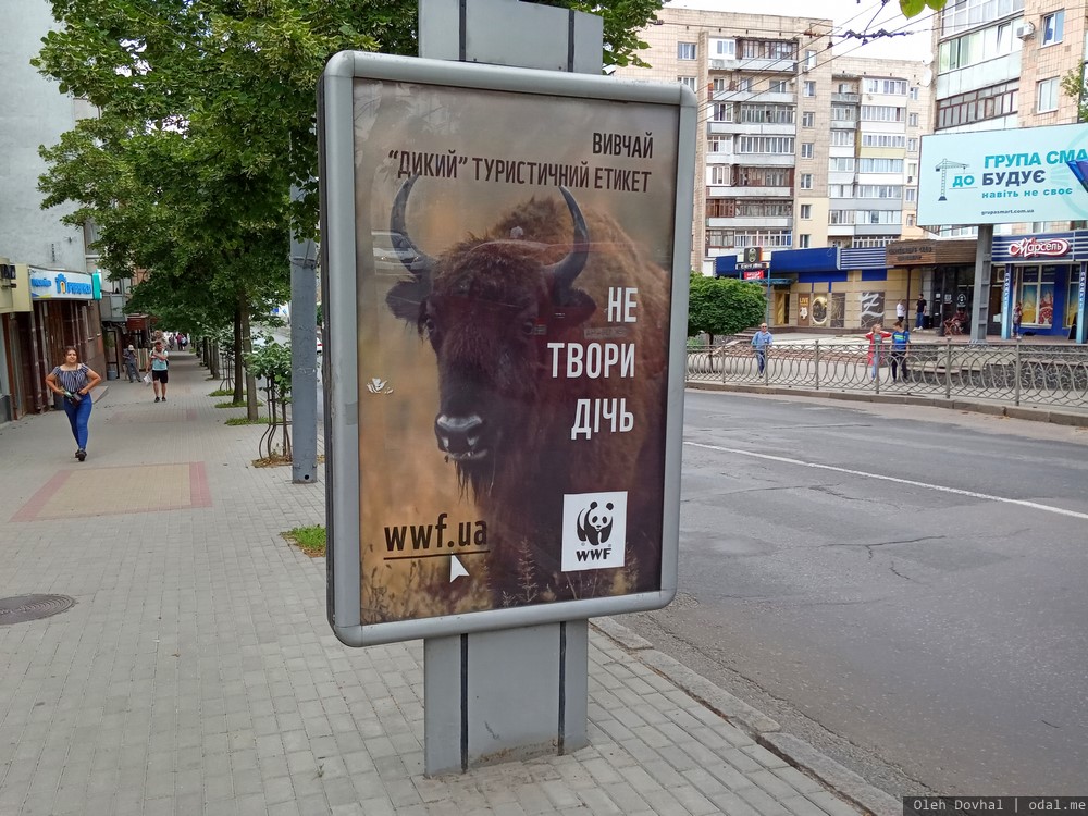 WWF, не твори дичь, Ровно